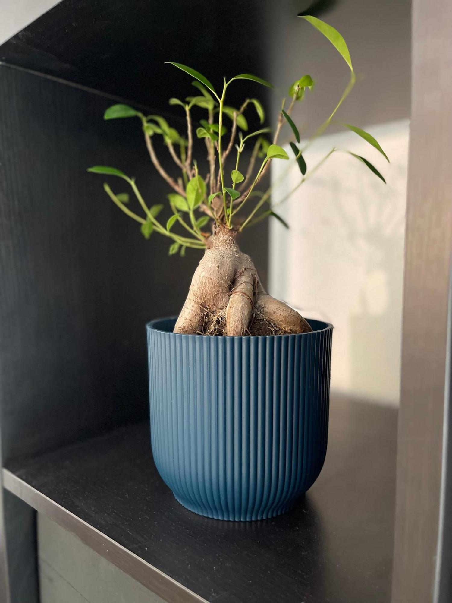 Le Cosy' Moderne - Proche Musee D'Art Moderne 斯特拉斯堡 外观 照片
